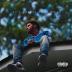 Cole J.: 2014 Forest Hills Drive LP