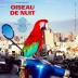 Corriveau, Antoine:  Oiseau De Nuit