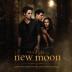 The Twilight Saga: New Moon (Gold) LP