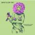 Brant Bjork Trio:  Once Upon A Time In The Desert