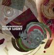 65Daysofstatic: Wild Lights LP