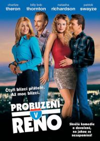 Probuzení v Reno - DVD