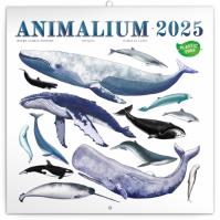 Poznámkový kalendár Animalium 2025, 30 × 30 cm