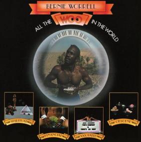 Bernie Worrell: All The Woo in The World