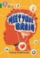 Meet Your Brain: Band 15/Emerald