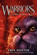 Warriors 4 : Rising Storm