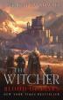 The Witcher: Blood of Elves