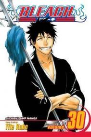 Bleach 30