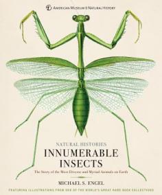 Innumerable Insects : The Story of the Most Diverse and Myriad Animals on Earth