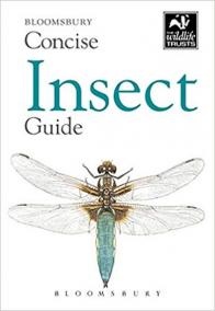 Concise Insect Guide