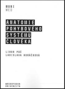 Anatomie pohybového systému člověka