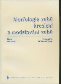 Morfologie zubů, kreslení a modelování zubů