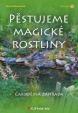 Pěstujeme magické rostliny