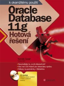 Oracle Database 11g