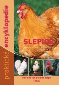 Slepice - více než 120 plemen slepic - praktická encyklopedie