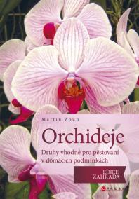 Orchideje - druhy vhodné pro pěstování v domácích podmínkách