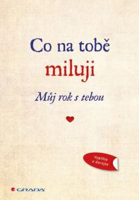 Co na tobě miluji - Můj rok s tebou