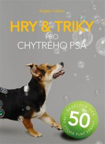 Hry a triky pro chytrého psa