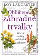 Obľúbené záhradné trvalky