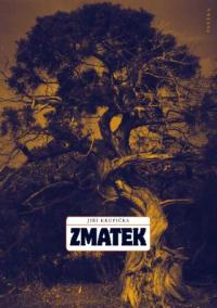 Zmatek