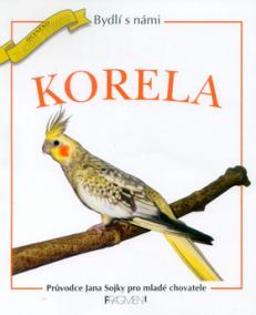 Korela