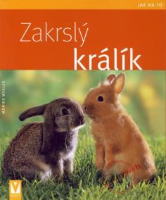 Zakrslý králík - Jak na to