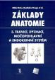 Základy anatomie 3 Trávicí,dýchací,močopohlavní a