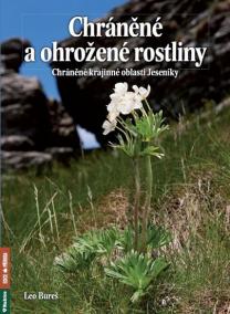 Chráněné a ohrožené rostliny - Chráněná krajinná oblast Jeseníky