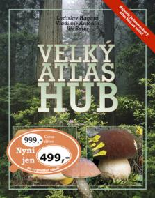 Velký atlas hub