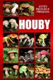 Houby