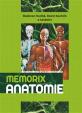 Memorix anatomie