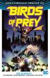 Birds of Prey 1 - Kdo je Oracle?