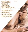 Trauma, tíseň, extáze, prázdnota - Formu