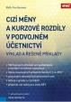 Cizí měny a kurzové rozdíly v podvojném účetnictví