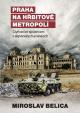 Praha na hřbitově metropolí - Čtyřicet let spojencem v afghánských anabázích