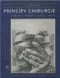 Princípy chirurgie II