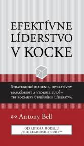 Efektívne líderstvo v kocke