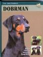 Doberman