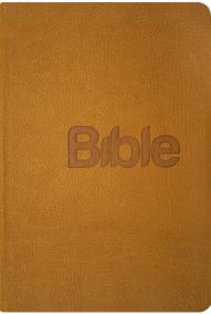 Bible, překlad 21. století (Gold kůže)