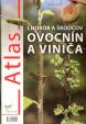 Atlas chorôb a škodcov ovocnín a viniča