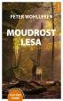 Moudrost lesa